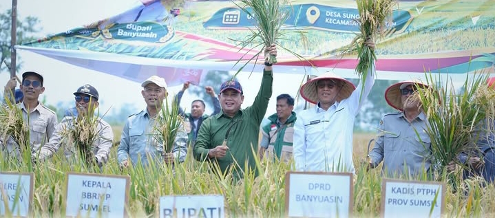 foto slider headline